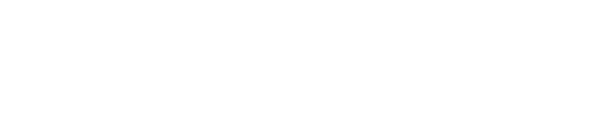 logo Ledy Vins blc