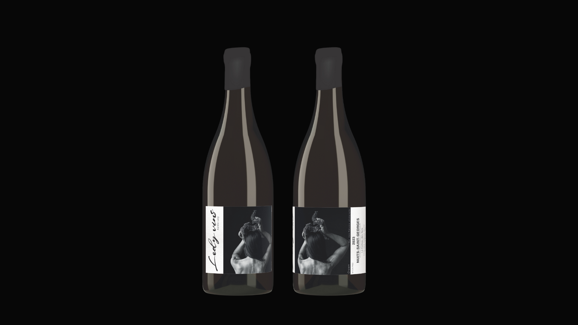 Ledy Vins – Nuits Saint Georges