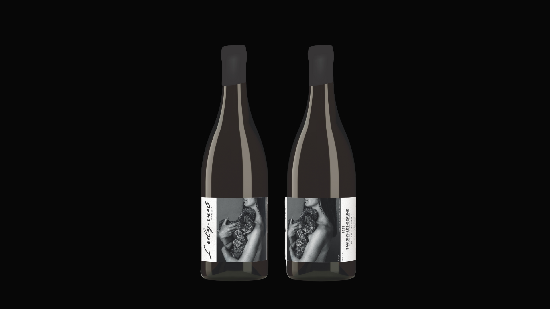 Ledy Vins – Savigny les beaune
